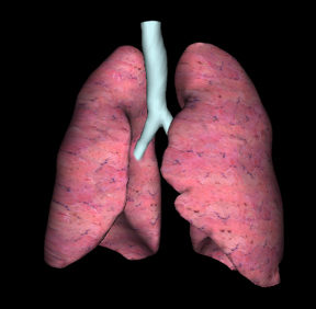 Textured Lungs